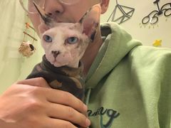 -藏猫猫咖啡主题馆(中央大道店)