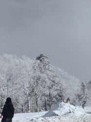-大秃顶子山
