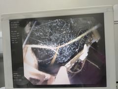 -爱妮康宠物医院·干细胞免疫细胞·肿瘤·心脏(张江店)