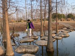 -上海长兴岛郊野公园