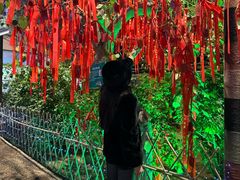 -北戴河集发农业梦想王国