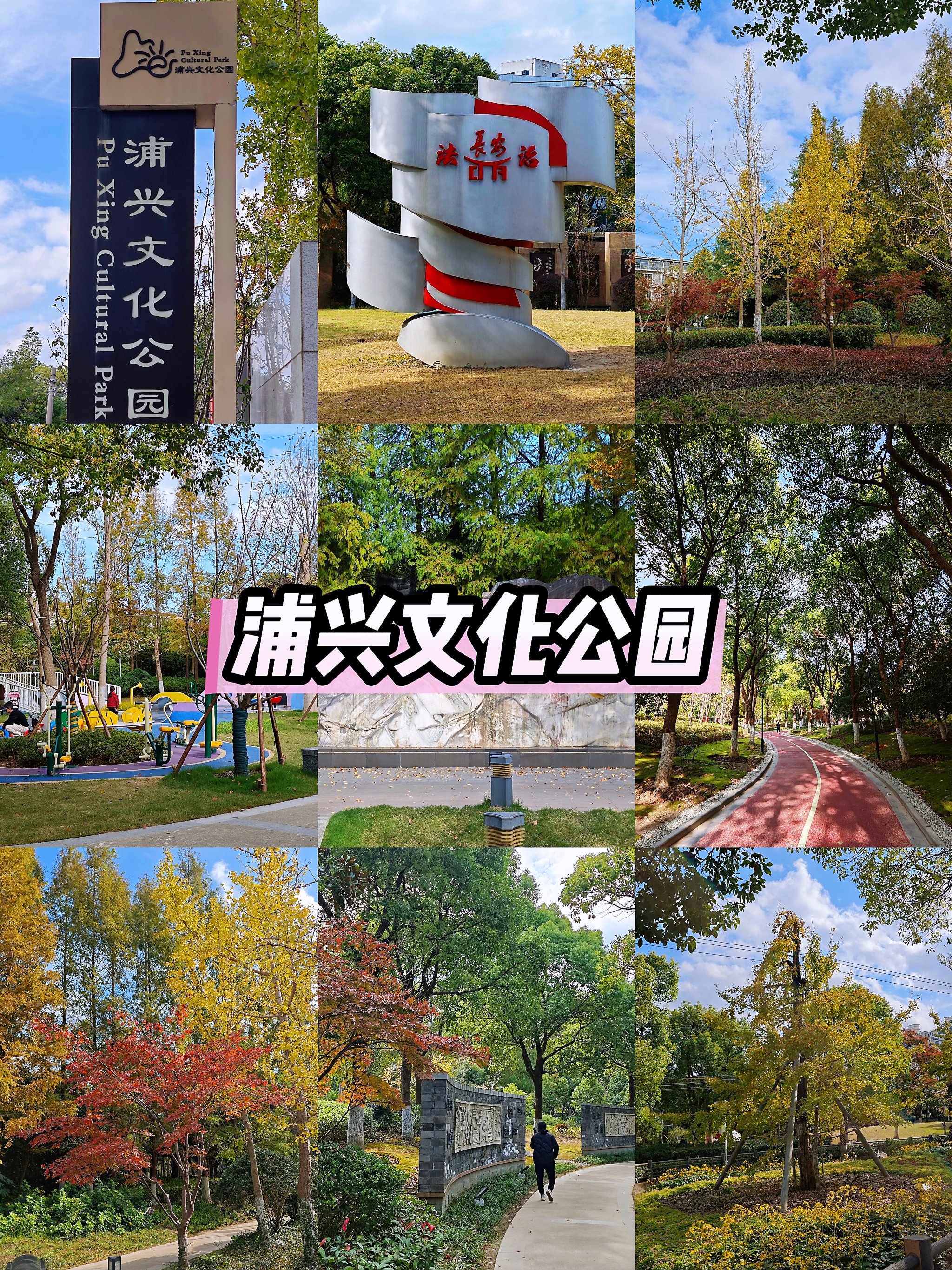 浦兴街道公园图片