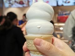 单球香草甜筒-DQ·蛋糕·冰淇淋(龙湖狮山天街店)
