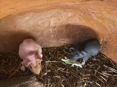 -北京野生动物园