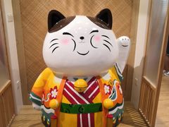 -屋虎猫馆(宝安大仟里店)