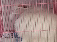 -成都失恋馆