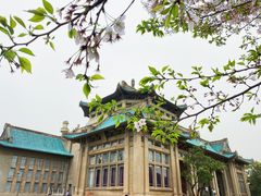 -武汉大学-樱园