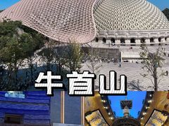 -牛首山文化旅游区