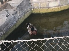 -北京市海淀外国语实验学校