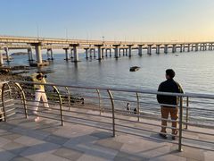 -星海湾跨海大桥