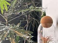 -W COLLECTIVE  DESSERT SHOP