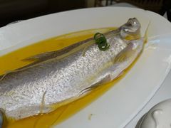 -桂满陇·手作小笼包&江南叫花鸡(中山公园店)
