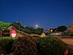 -香港东海海鲜酒家