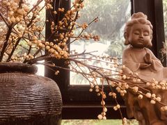 -北马山庄植趣咖啡