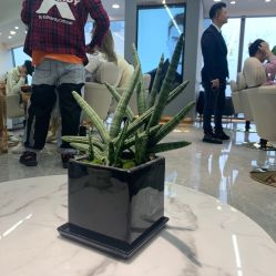 点击看大图 -V+SALON造型