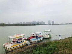 -官亭林海