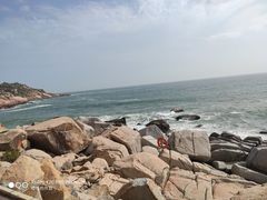 -广东惠东海龟国家级自然保护区
