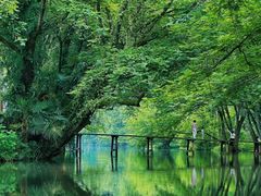 -西溪南古村落景区