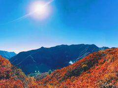 -周口店坡峰岭风景区