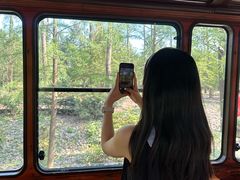 -合肥滨湖国家森林公园