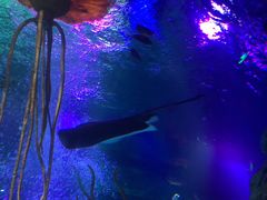 -沈阳海洋探索中心