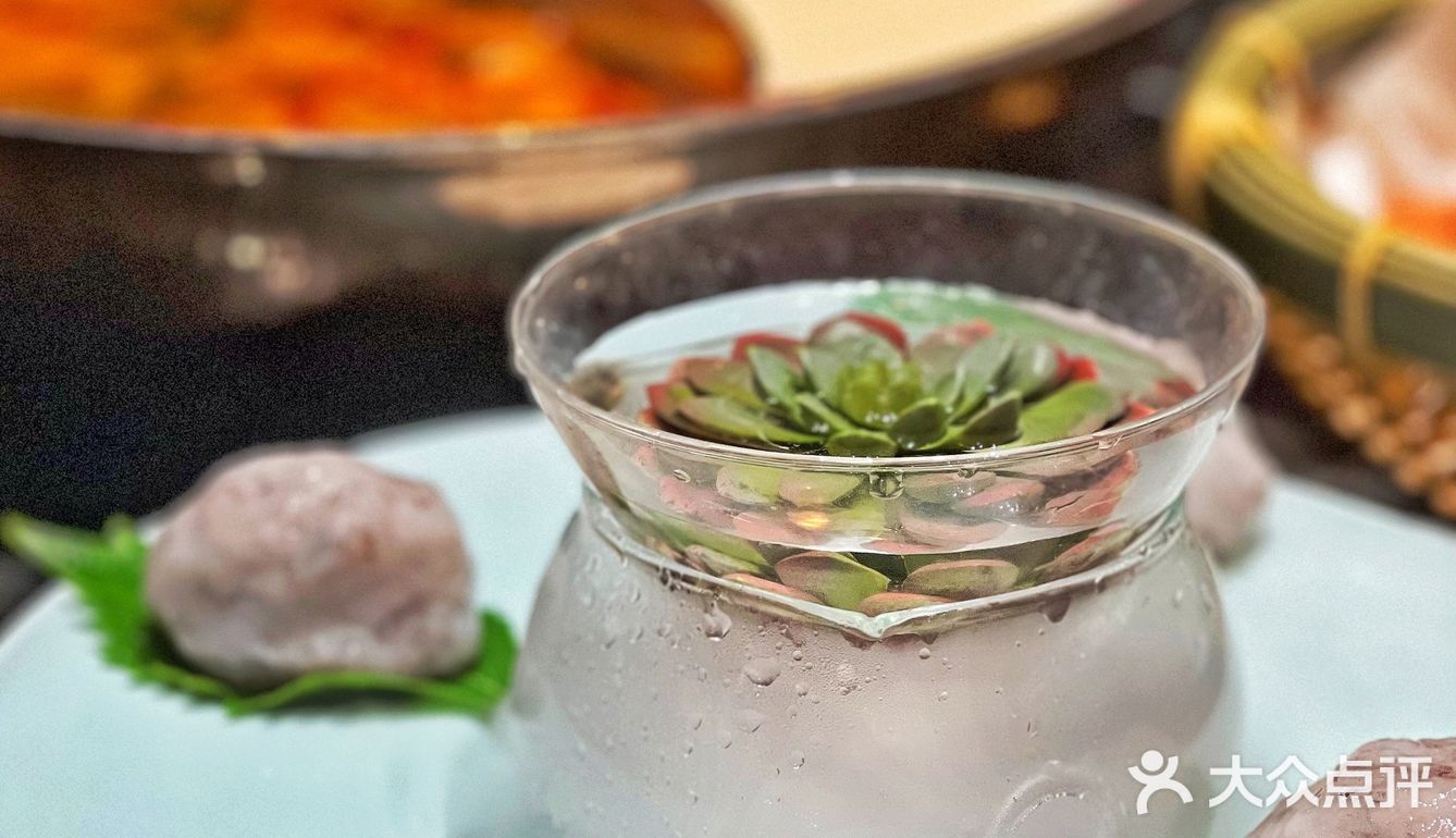 上海探店｜文化底蕴～匠心传承“猪肚鸡”