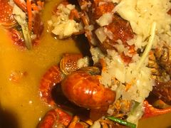 -辣猫龙虾(马泉营店)