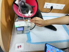 -联合动物医院(光谷诊疗中心)