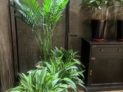 -西贝(满都海公园店)