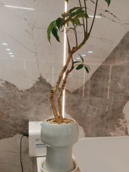 -LJOY丽锦造型·烫发染发