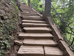 -青城山