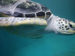 -青岛海底世界-水族馆