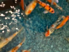 -北京新世纪饭店(动物园地铁站店)