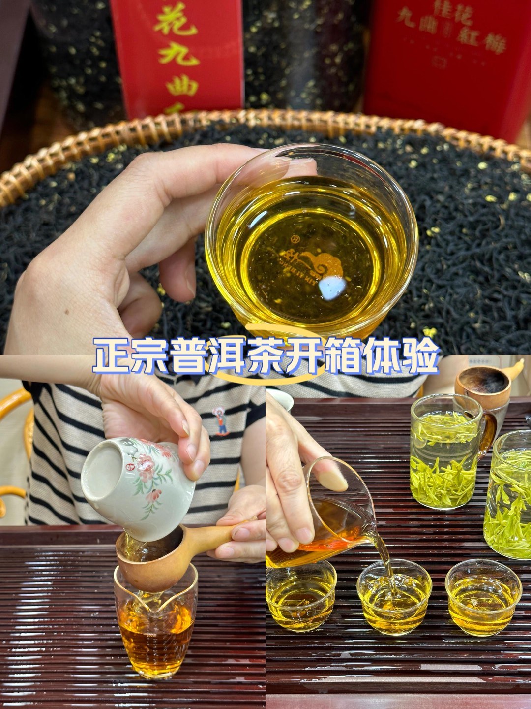 打卡成都新茶嫩茶wx工作室,茶艺师们展示茶艺