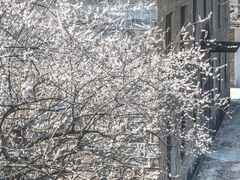 -广州市流溪河国家森林公园