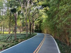 -眉山湿地公园(东坡区)