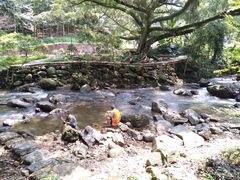 -广州市石门国家森林公园