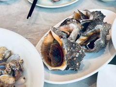 -船歌·鱼水饺青岛菜(石老人店)