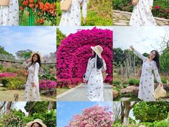 -东莞植物园