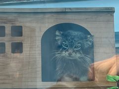 -青藏高原野生动物园