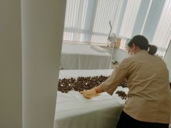 -姜美堂·蒸姜除湿の纤体美颜馆