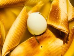 -江城老胖串店(湖西路店)