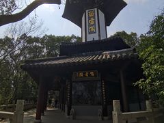 -上海佘山国家森林公园天马山园