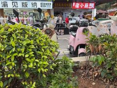 -西双版纳原始森林公园