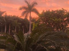 -南宁花花大世界景区