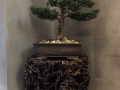 -杭州新新饭店·1913餐厅