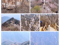 -大岭沟猕猴桃谷风景区