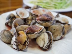 毛蛤-食海部落