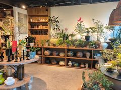 -自由生长植物工作室(深港花卉中心店)