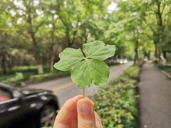 -杭州植物园